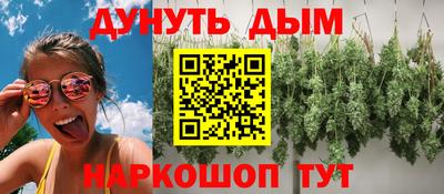 наркотики Кингисепп