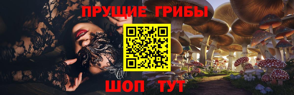купить  сайты  Галлюциногенные грибы GOLDEN TEACHER  Среднеуральск  Вход с VPN  Галлюциногенные грибы мухоморы 